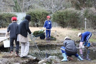 1IMG_0142.jpg