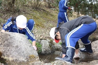 1IMG_0168.jpg