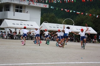 1IMG_8823.jpg